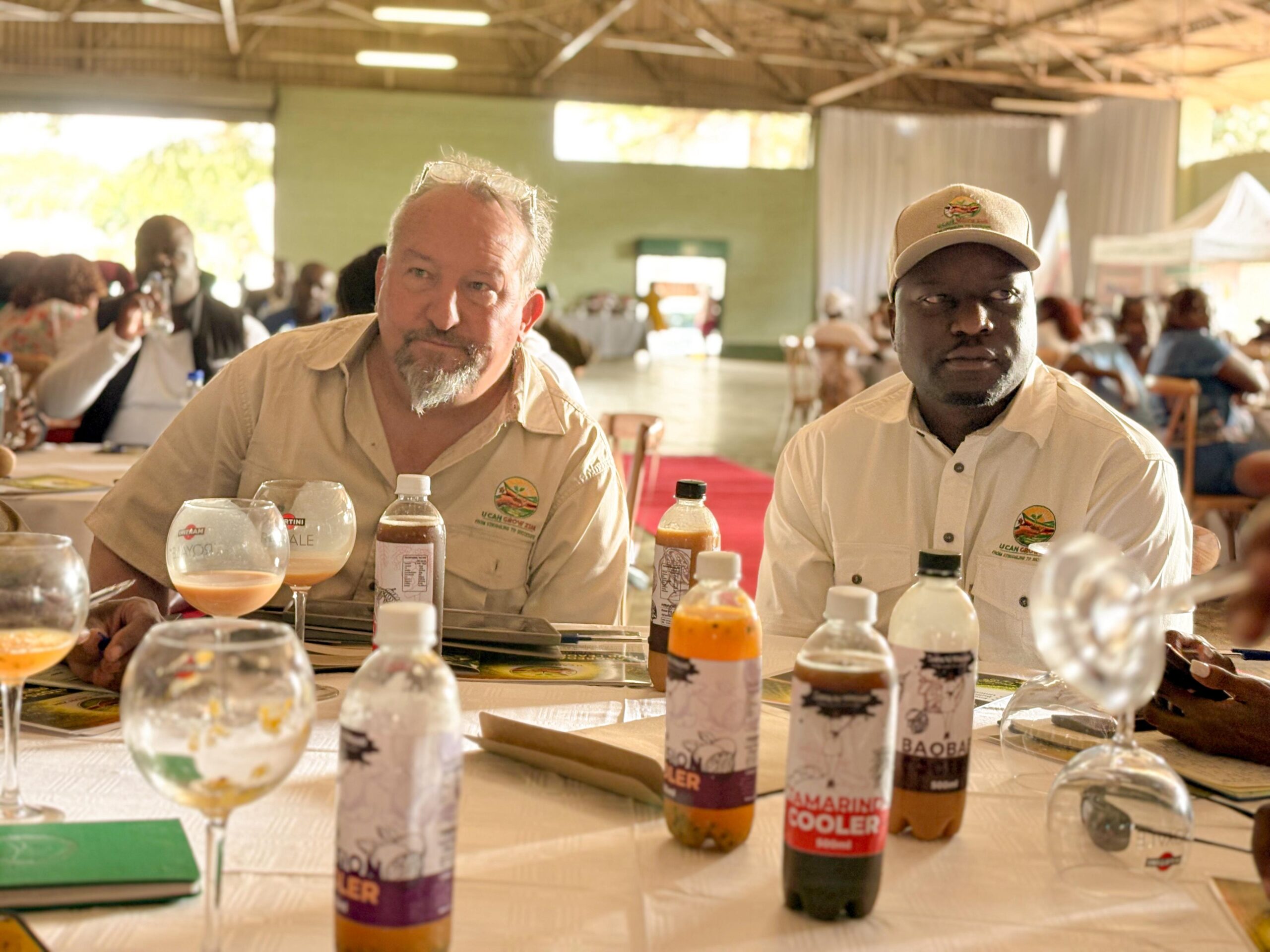 Investor hails Zim agric potential as US$1BN funds roll out - Black ...